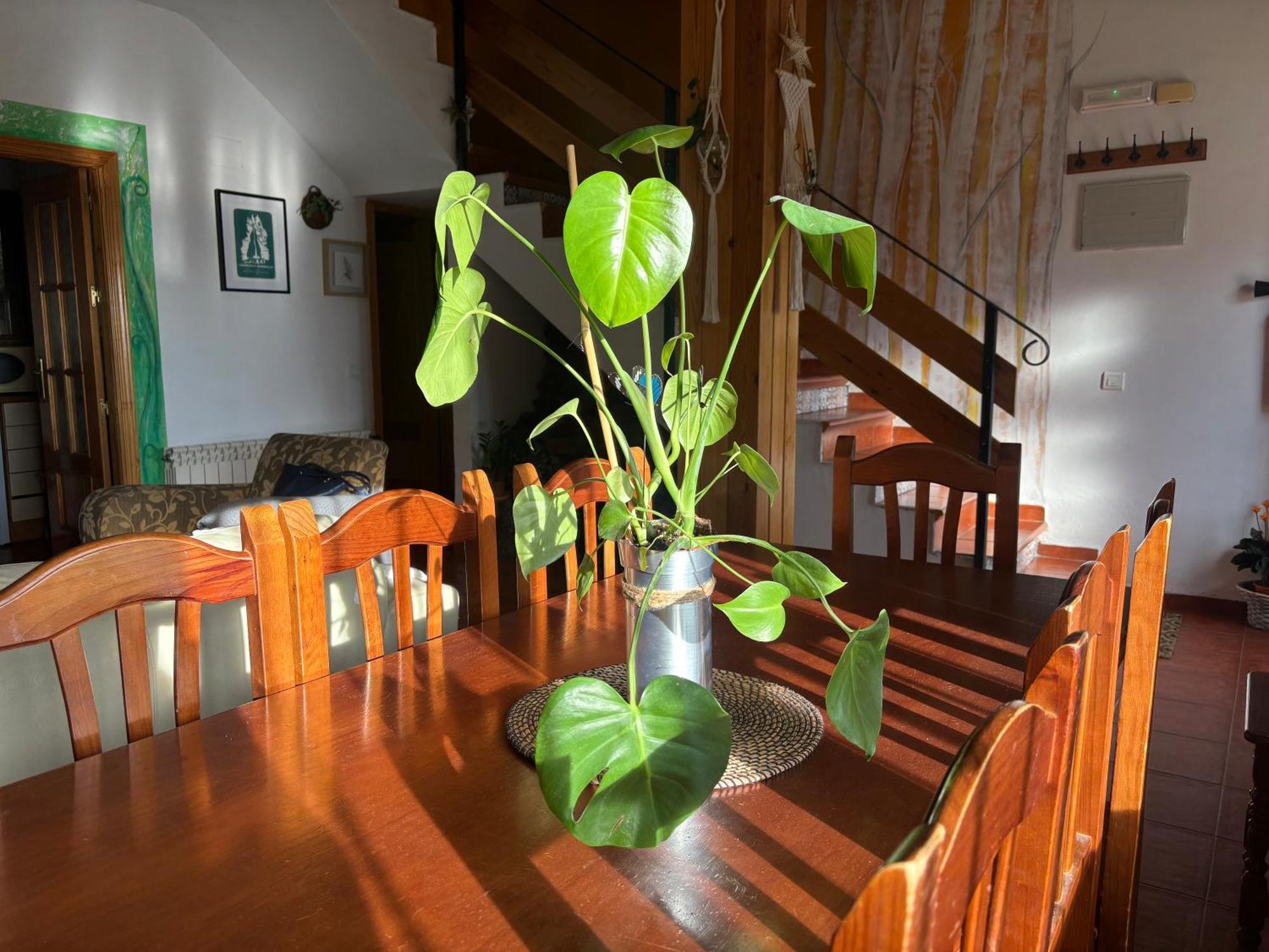 Espejo Del Tietar Villa Pedro Bernardo ภายนอก รูปภาพ